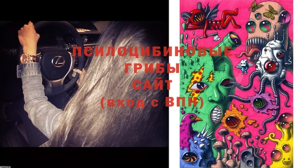 винт Покачи