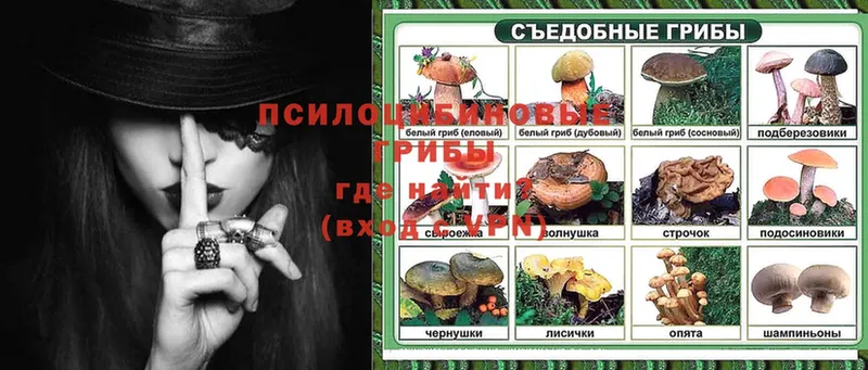 Псилоцибиновые грибы Magic Shrooms  Агрыз 