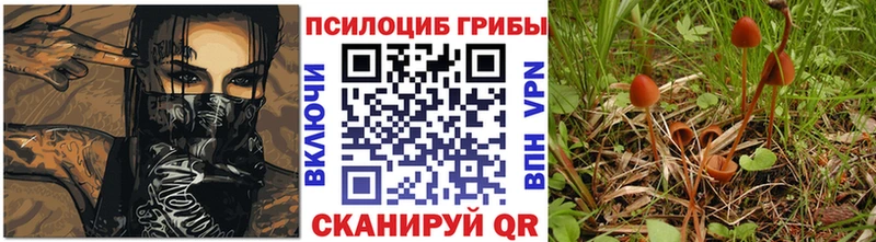 Псилоцибиновые грибы Magic Shrooms где купить наркотик Агрыз